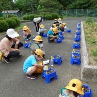 5月２６日（火）登校日　楽しそうな久米っ子(それぞれのクラスでの活動です)