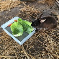 たくさん食べてね！今日一日元気でね！