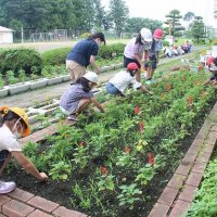 花壇がきれいになったね！ありがとう！