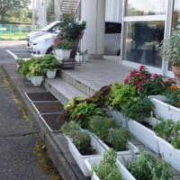 ９月９日（水）２　玄関がすてきになりました