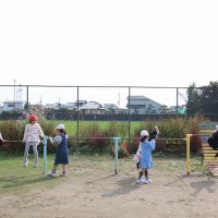 久しぶりにお天気です。元気に遊んでいます！