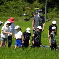 ５年　ス米ルプロジェクト　水田の除草