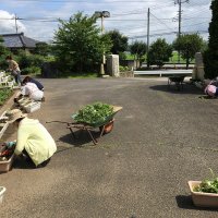 お陰様で，花壇がきれいになりました！