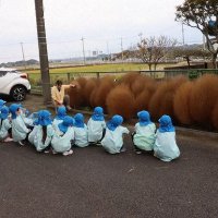 コキアを抜いてどうするのかな？