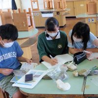 ８月９日(火)　夏休みのトピックス（理科・統計相談日等）
