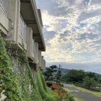 ８月１７日(水)　夏休みのトピックス（朝の世矢小他）