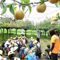 ９月９日（金）今日のトピックス（３年梨園見学＆５年図画工作＆朝の様子など）