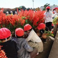 花壇の花を根っこから抜くことができたかな？