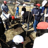 ２月２８日（火）６年生記念植樹など