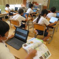 １、２年生の生活科の授業