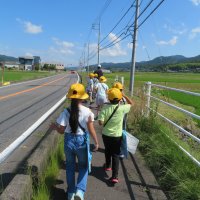 小学校２年生　町たんけんに行ってきました。