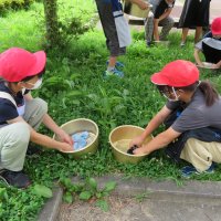 小学校６年生　家庭科で洗濯をしました。