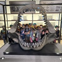 ２年生の校外学習　海の生き物大発見！