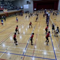 県総合体育大会（男子バレーボール）