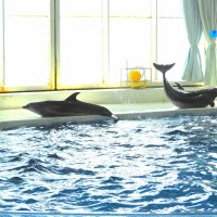 10月2日(水)１・２年遠足