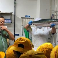 3年生　校外学習【スーパーマーケット】の様子です