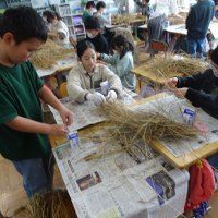 ５年生　稲の脱穀をしました！