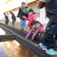 1年生　氷遊びをしました！