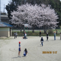昼休みの様子