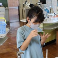 夏休みの課題への取組は，順調かな？