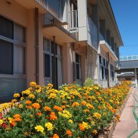 新型コロナウイルス感染拡大防止のための自宅学習