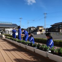 春に向けて