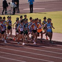 茨城県中学校駅伝競走大会