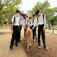 ３学年修学旅行１日目その４奈良公園・東大寺