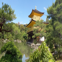 修学旅行3日目です！