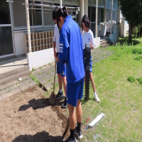 にしやま学級生活単元の様子