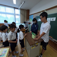 緑の羽根募金について