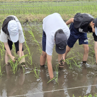 酒米の田植え体験！