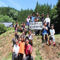 里川かぼちゃの定植！