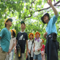 ３年生　第2回ぶどう園見学＆体験