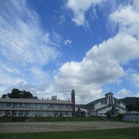 愛校作業　他